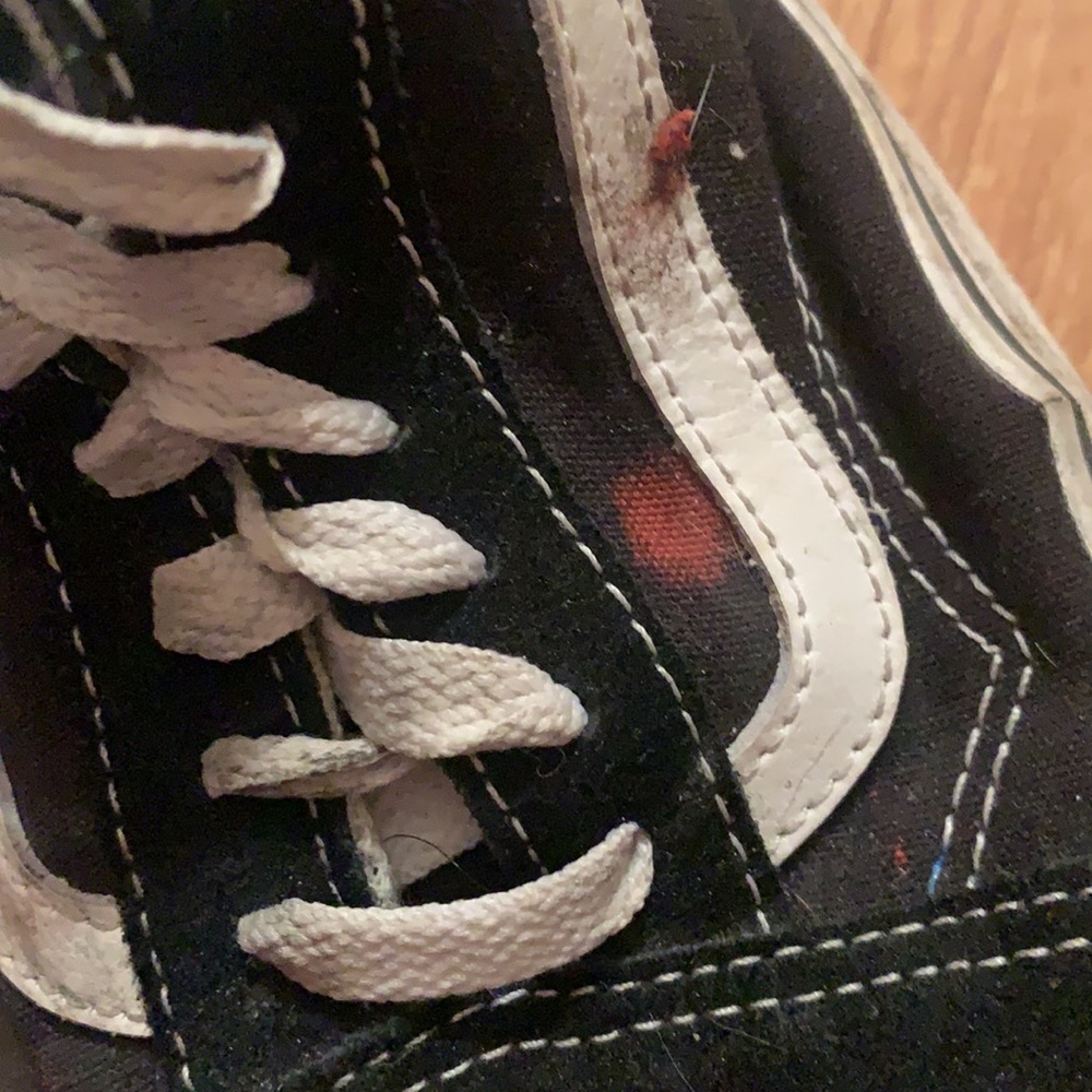 Platform Vans - Picture 2 of 5